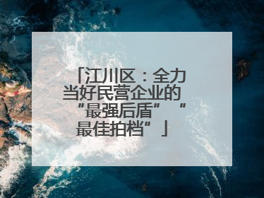江川区：全力当好民营企业的“最强后盾”“最佳拍档”