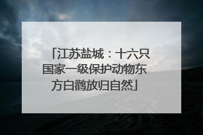 江苏盐城：十六只国家一级保护动物东方白鹳放归自然