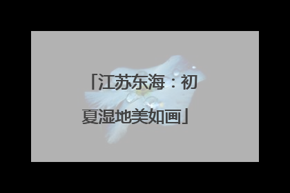 江苏东海：初夏湿地美如画