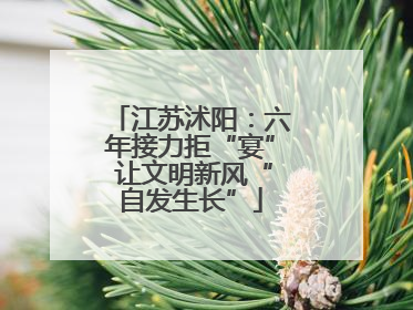江苏沭阳：六年接力拒“宴” 让文明新风“自发生长”