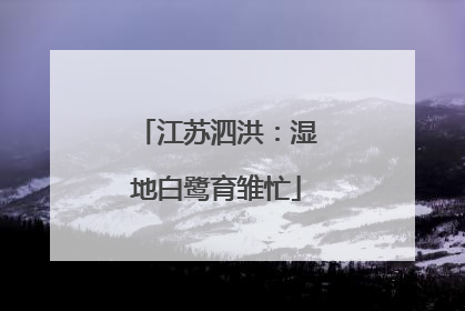 江苏泗洪：湿地白鹭育雏忙