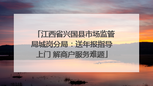 江西省兴国县市场监管局城岗分局：送年报指导上门 解商户服务难题