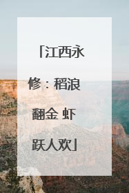 江西永修：稻浪翻金 虾跃人欢