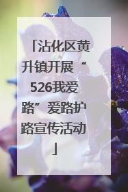 沾化区黄升镇开展“526我爱路”爱路护路宣传活动