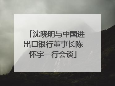 沈晓明与中国进出口银行董事长陈怀宇一行会谈