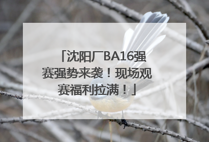 沈阳厂BA16强赛强势来袭！现场观赛福利拉满！