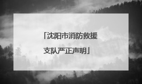 沈阳市消防救援支队严正声明