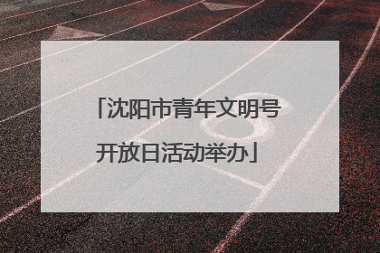 沈阳市青年文明号开放日活动举办