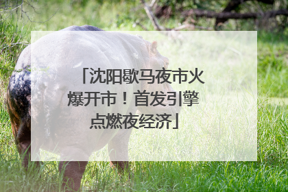 沈阳歇马夜市火爆开市！首发引擎点燃夜经济