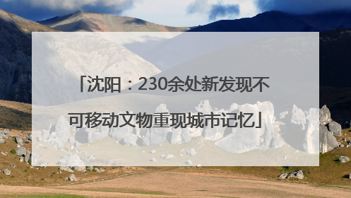 沈阳：230余处新发现不可移动文物重现城市记忆