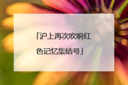 沪上再次吹响红色记忆集结号