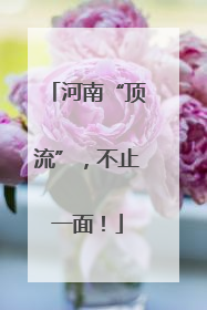 河南“顶流”，不止一面！