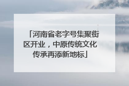 河南省老字号集聚街区开业，中原传统文化传承再添新地标
