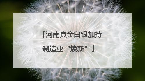 河南真金白银加持制造业“焕新”