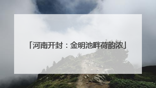 河南开封：金明池畔荷韵浓