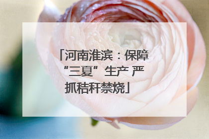 河南淮滨：保障“三夏”生产 严抓秸秆禁烧