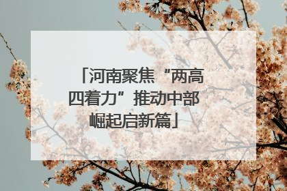 河南聚焦“两高四着力”推动中部崛起启新篇