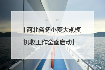 河北省冬小麦大规模机收工作全面启动