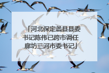 河北保定蠡县县委书记陈伟已跨市调任廊坊三河市委书记
