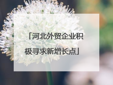 河北外贸企业积极寻求新增长点