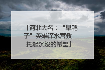 河北大名：“旱鸭子”英雄深水营救 托起沉没的希望