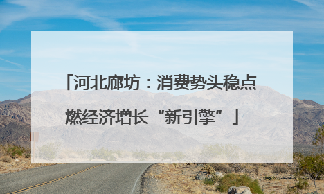 河北廊坊：消费势头稳点燃经济增长“新引擎”