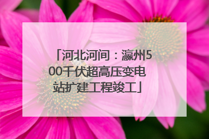 河北河间：瀛州500千伏超高压变电站扩建工程竣工