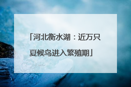 河北衡水湖：近万只夏候鸟进入繁殖期