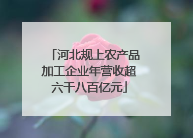 河北规上农产品加工企业年营收超六千八百亿元