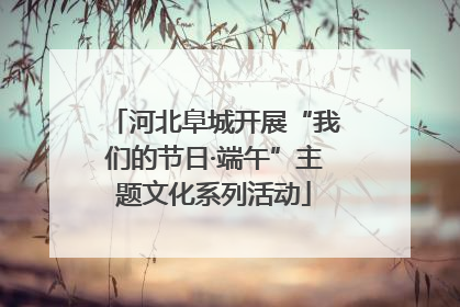 河北阜城开展“我们的节日·端午”主题文化系列活动