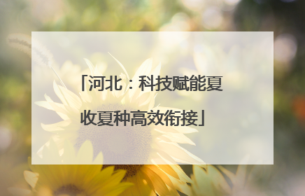 河北：科技赋能夏收夏种高效衔接