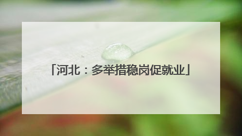 河北：多举措稳岗促就业