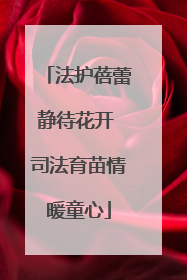 法护蓓蕾静待花开 司法育苗情暖童心