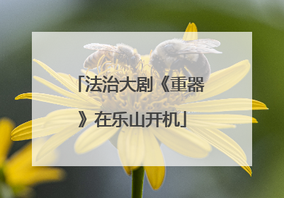 法治大剧《重器》在乐山开机