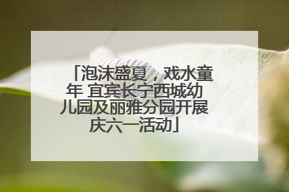 泡沫盛夏，戏水童年 宜宾长宁西城幼儿园及丽雅分园开展庆六一活动