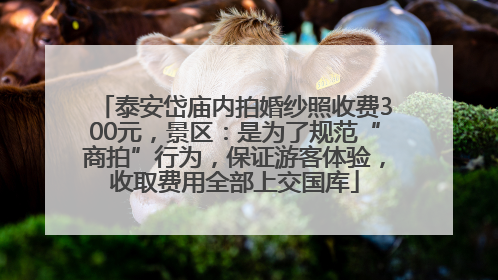 泰安岱庙内拍婚纱照收费300元，景区：是为了规范“商拍”行为，保证游客体验，收取费用全部上交国库