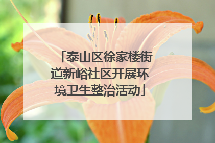 泰山区徐家楼街道新峪社区开展环境卫生整治活动