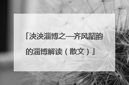 泱泱淄博之—齐风韶韵的淄博解读（散文）