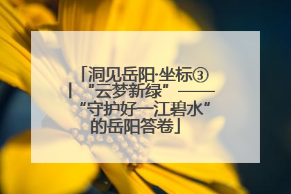 洞见岳阳·坐标③丨“云梦新绿”——“守护好一江碧水”的岳阳答卷