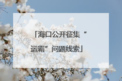 海口公开征集“运霸”问题线索