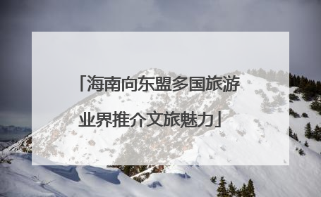 海南向东盟多国旅游业界推介文旅魅力
