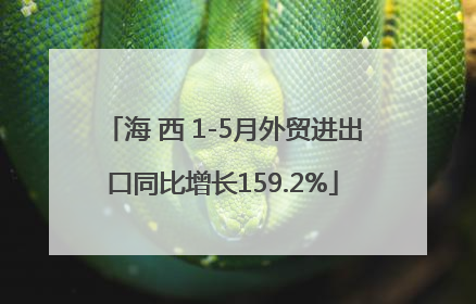 海 西 1-5月外贸进出口同比增长159.2%