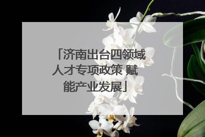 济南出台四领域人才专项政策 赋能产业发展