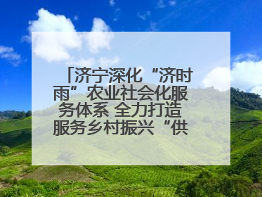 济宁深化“济时雨”农业社会化服务体系 全力打造服务乡村振兴“供销样板”