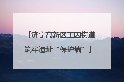 济宁高新区王因街道筑牢遗址“保护墙”