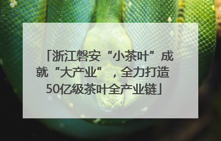 浙江磐安“小茶叶”成就“大产业”，全力打造50亿级茶叶全产业链