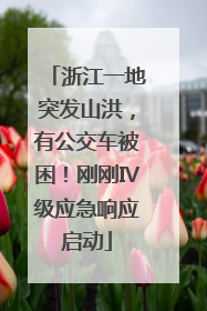 浙江一地突发山洪，有公交车被困！刚刚Ⅳ级应急响应启动