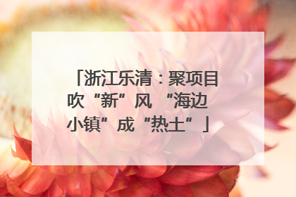 浙江乐清：聚项目吹“新”风 “海边小镇”成“热土”