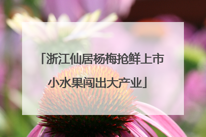 浙江仙居杨梅抢鲜上市 小水果闯出大产业
