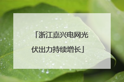浙江嘉兴电网光伏出力持续增长